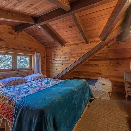 Forest Cabin 3 Bear'S Den Payson ภายนอก รูปภาพ