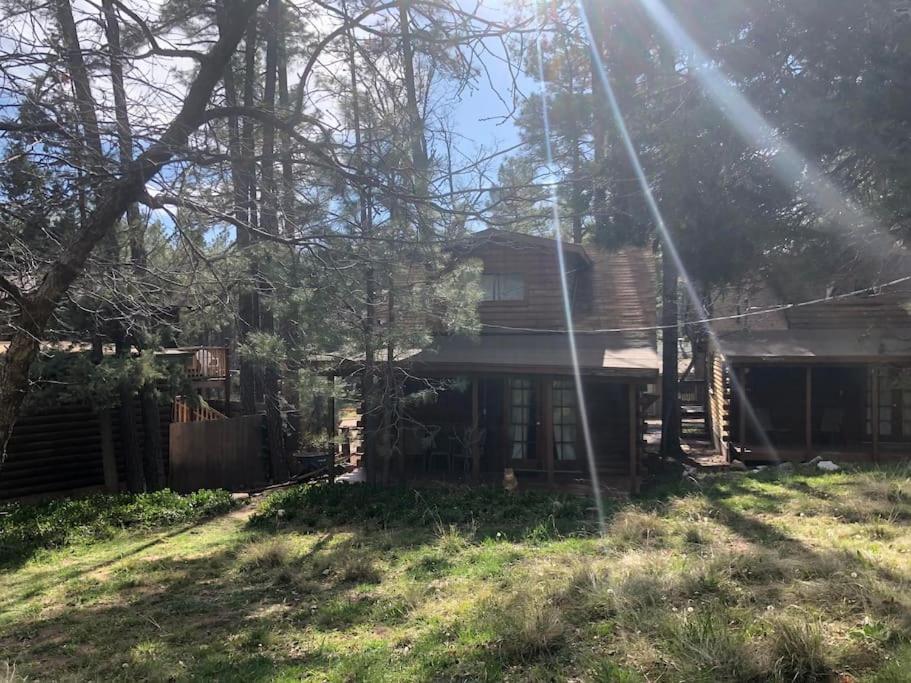 Forest Cabin 3 Bear'S Den Payson ภายนอก รูปภาพ