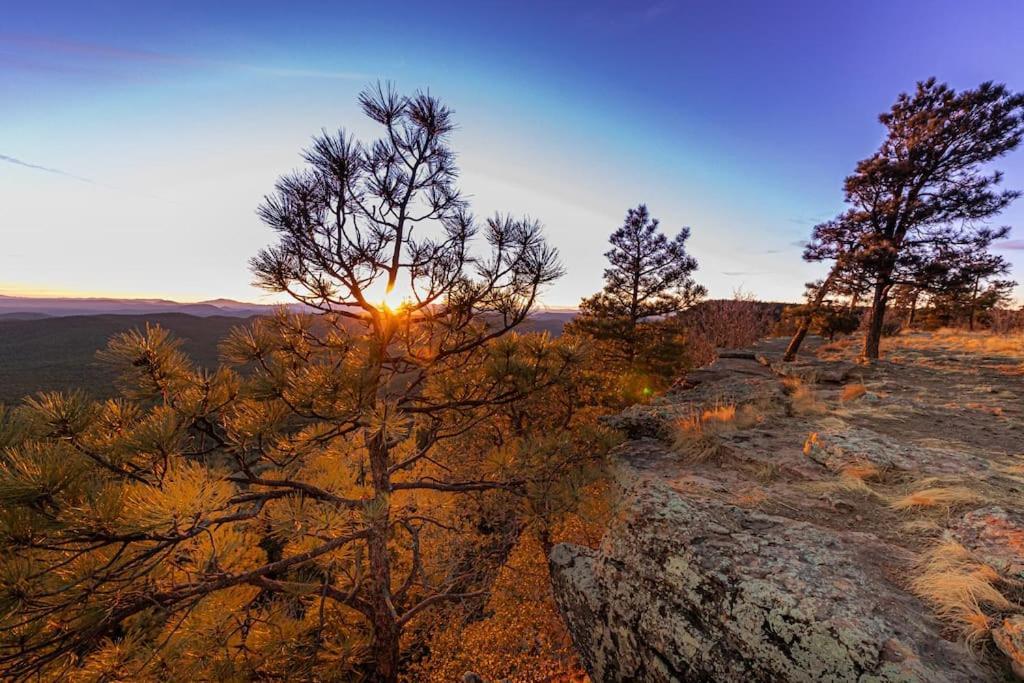 Forest Cabin 3 Bear'S Den Payson ภายนอก รูปภาพ