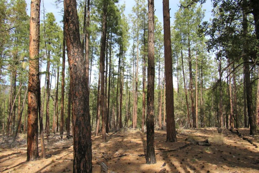 Forest Cabin 3 Bear'S Den Payson ภายนอก รูปภาพ