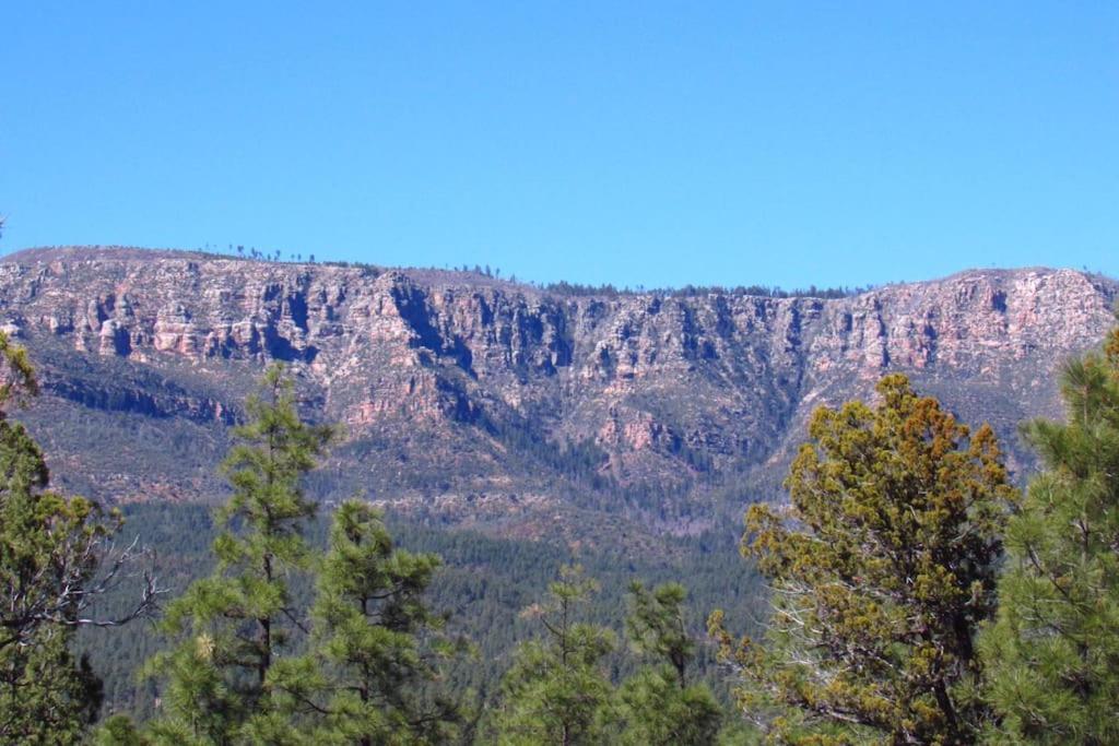 Forest Cabin 3 Bear'S Den Payson ภายนอก รูปภาพ